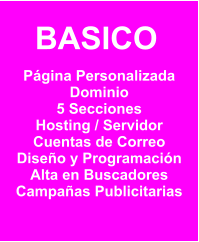 Página Personalizada Dominio 5 Secciones Hosting / Servidor Cuentas de Correo Diseño y Programación Alta en Buscadores Campañas Publicitarias BASICO