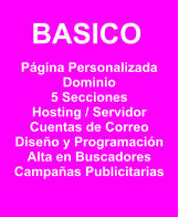 Página Personalizada Dominio 5 Secciones Hosting / Servidor Cuentas de Correo Diseño y Programación Alta en Buscadores Campañas Publicitarias BASICO